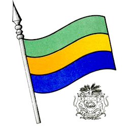 1214349416-DRAPEAU_GABONAIS.jpg